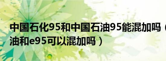 中国石化95和中国石油95能混加吗（95号汽油和e95可以混加吗）