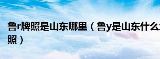 鲁r牌照是山东哪里（鲁y是山东什么地方的牌照）