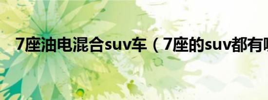7座油电混合suv车（7座的suv都有哪些）