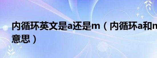 内循环英文是a还是m（内循环a和m是什么意思）