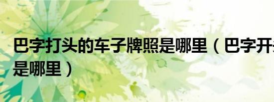巴字打头的车子牌照是哪里（巴字开头的车牌是哪里）