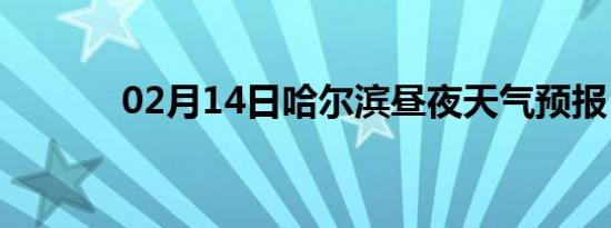 02月14日哈尔滨昼夜天气预报