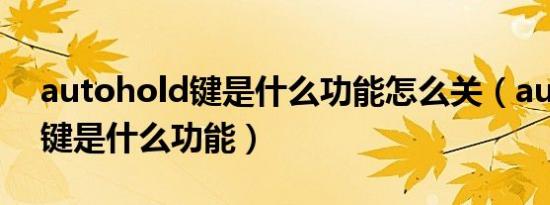 autohold键是什么功能怎么关（autohold键是什么功能）