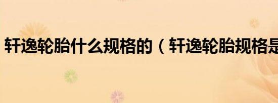轩逸轮胎什么规格的（轩逸轮胎规格是什么）