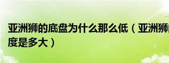 亚洲狮的底盘为什么那么低（亚洲狮的底盘高度是多大）