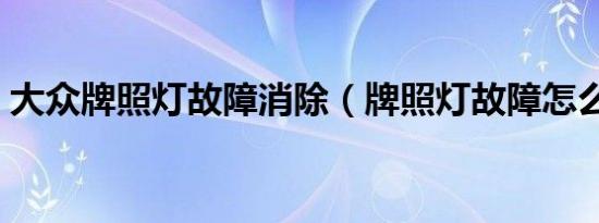 大众牌照灯故障消除（牌照灯故障怎么恢复）