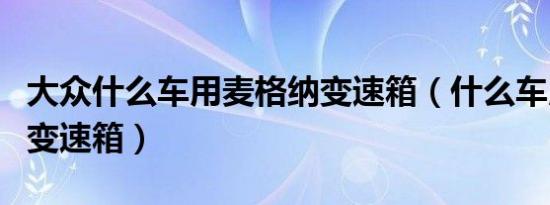 大众什么车用麦格纳变速箱（什么车用麦格纳变速箱）