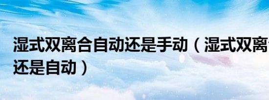 湿式双离合自动还是手动（湿式双离合是手动还是自动）