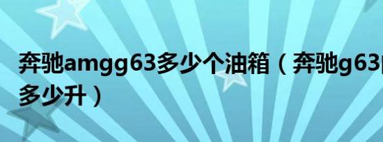 奔驰amgg63多少个油箱（奔驰g63的油箱是多少升）