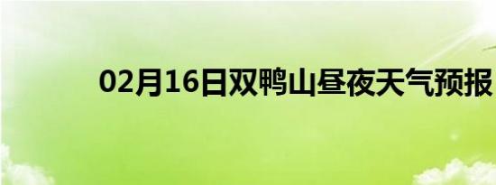 02月16日双鸭山昼夜天气预报