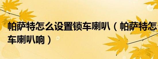帕萨特怎么设置锁车喇叭（帕萨特怎么设置锁车喇叭响）