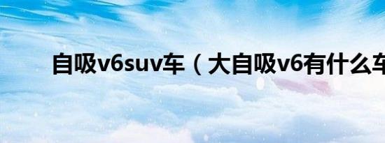 自吸v6suv车（大自吸v6有什么车）