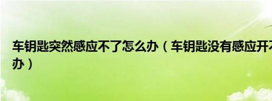车钥匙突然感应不了怎么办（车钥匙没有感应开不了车怎么办）