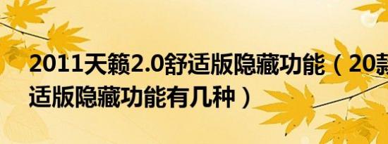 2011天籁2.0舒适版隐藏功能（20款天籁舒适版隐藏功能有几种）