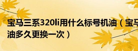 宝马三系320li用什么标号机油（宝马320li机油多久更换一次）