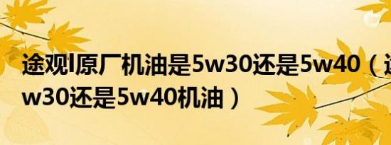 途观l原厂机油是5w30还是5w40（途观L用5w30还是5w40机油）