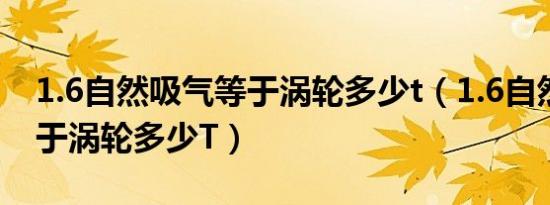 1.6自然吸气等于涡轮多少t（1.6自然吸气等于涡轮多少T）