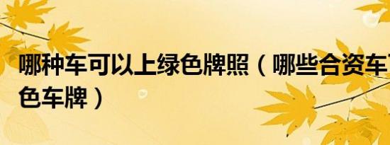 哪种车可以上绿色牌照（哪些合资车可以上绿色车牌）