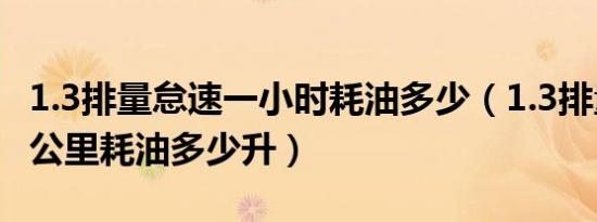 1.3排量怠速一小时耗油多少（1.3排量的车百公里耗油多少升）