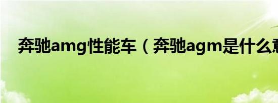 奔驰amg性能车（奔驰agm是什么意思）