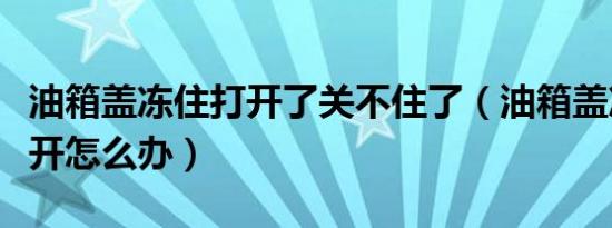 油箱盖冻住打开了关不住了（油箱盖冻住打不开怎么办）