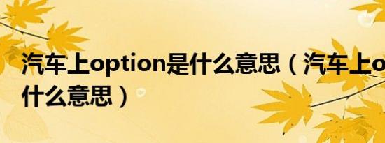 汽车上option是什么意思（汽车上option是什么意思）