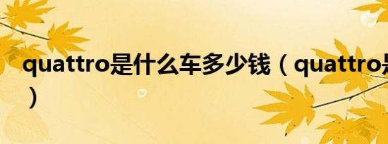 quattro是什么车多少钱（quattro是什么车）