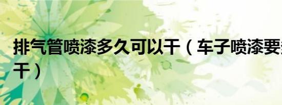 排气管喷漆多久可以干（车子喷漆要多久才会干）