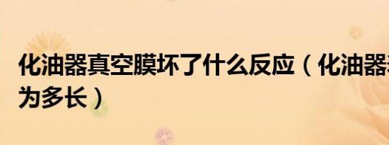 化油器真空膜坏了什么反应（化油器寿命一般为多长）