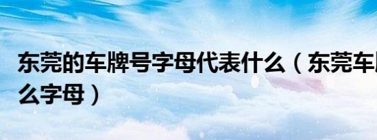 东莞的车牌号字母代表什么（东莞车牌号是什么字母）