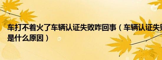 车打不着火了车辆认证失败咋回事（车辆认证失败打不着火是什么原因）