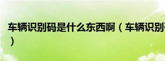 车辆识别码是什么东西啊（车辆识别码是什么）