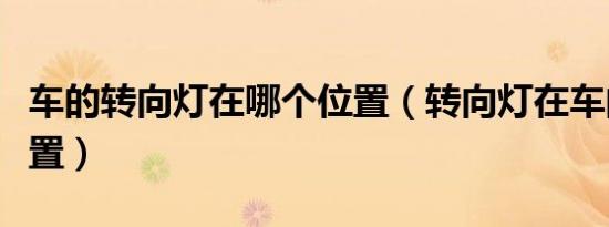 车的转向灯在哪个位置（转向灯在车的哪个位置）