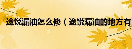 途锐漏油怎么修（途锐漏油的地方有哪些）