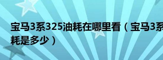 宝马3系325油耗在哪里看（宝马3系325li油耗是多少）