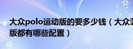 大众polo运动版的要多少钱（大众菠萝风尚版都有哪些配置）