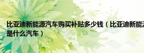 比亚迪新能源汽车购买补贴多少钱（比亚迪新能源绿色车牌是什么汽车）