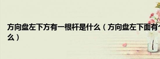 方向盘左下方有一根杆是什么（方向盘左下面有个杆子是什么）