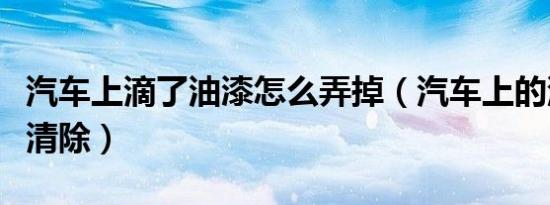 汽车上滴了油漆怎么弄掉（汽车上的油漆怎么清除）