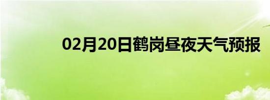 02月20日鹤岗昼夜天气预报