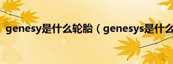 genesy是什么轮胎（genesys是什么轮胎）