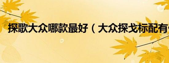 探歌大众哪款最好（大众探戈标配有什么）