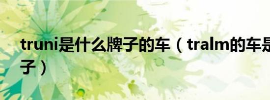 truni是什么牌子的车（tralm的车是什么牌子）