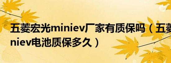 五菱宏光miniev厂家有质保吗（五菱宏光miniev电池质保多久）