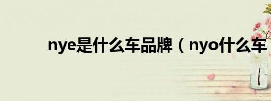 nye是什么车品牌（nyo什么车）