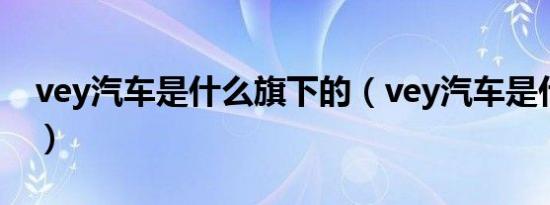 vey汽车是什么旗下的（vey汽车是什么品牌）