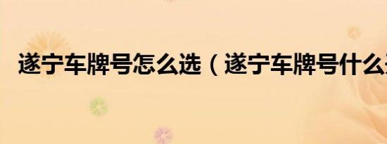 遂宁车牌号怎么选（遂宁车牌号什么开头）