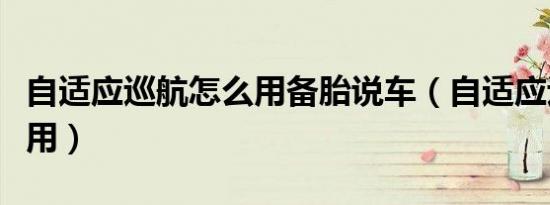 自适应巡航怎么用备胎说车（自适应巡航怎么用）