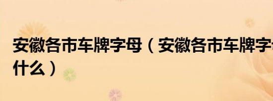 安徽各市车牌字母（安徽各市车牌字母代码是什么）