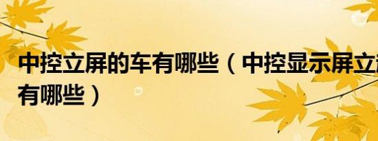 中控立屏的车有哪些（中控显示屏立起来的车有哪些）